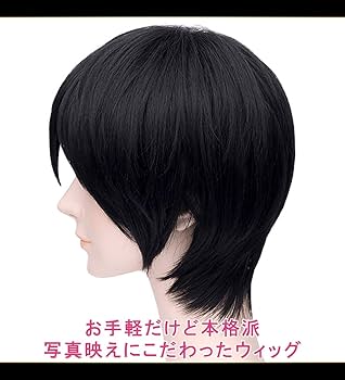 Amazon.co.jp: CaseEden コスプレ ウィッグ ショート 30cm 男性